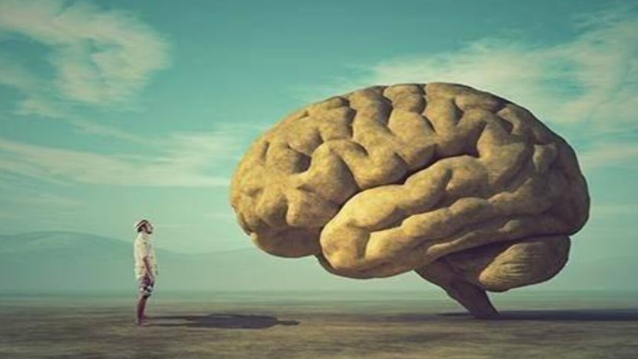 Foto - Bakın ilk sırada hangisi var! Türkiye'nin en zeki illeri açıklandı