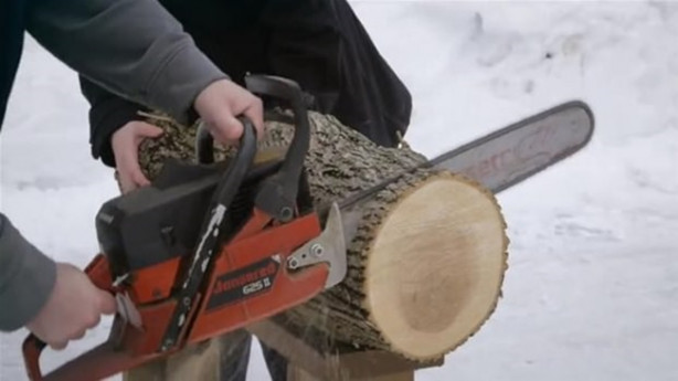 Bakın kütüğü neye dönüştürdü!