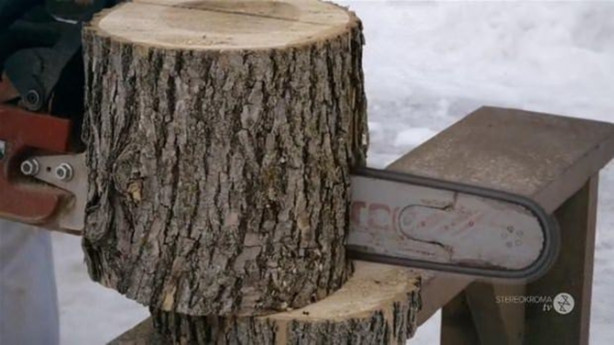 Foto - Bakın kütükle ne yaptı!