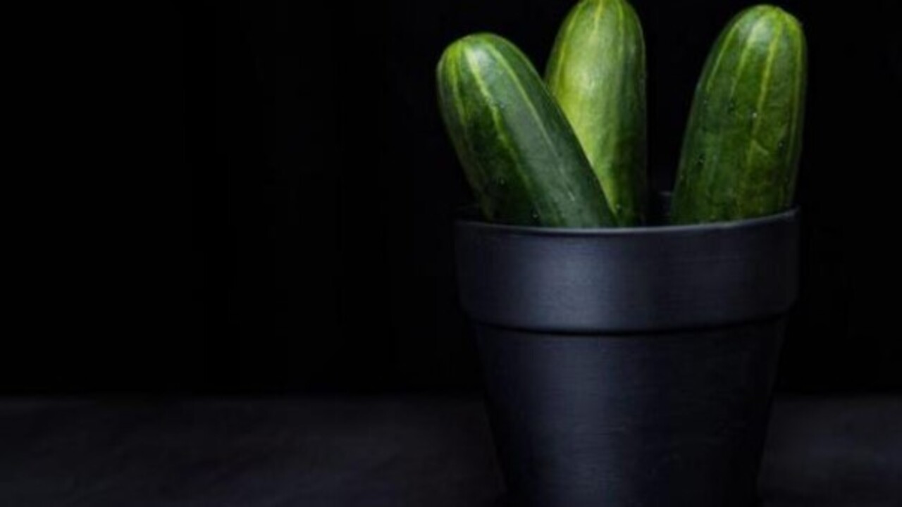 Foto - Bakın ne işe yarıyor! Salatalık kabuklarını sakın çöpe atmayın