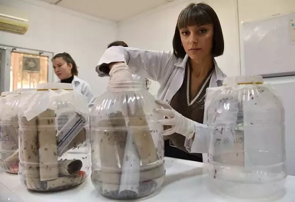 Foto - Bakın neden bunu yapıyorlarmış! Elleriyle foseptikten hamam böceği topluyorlar