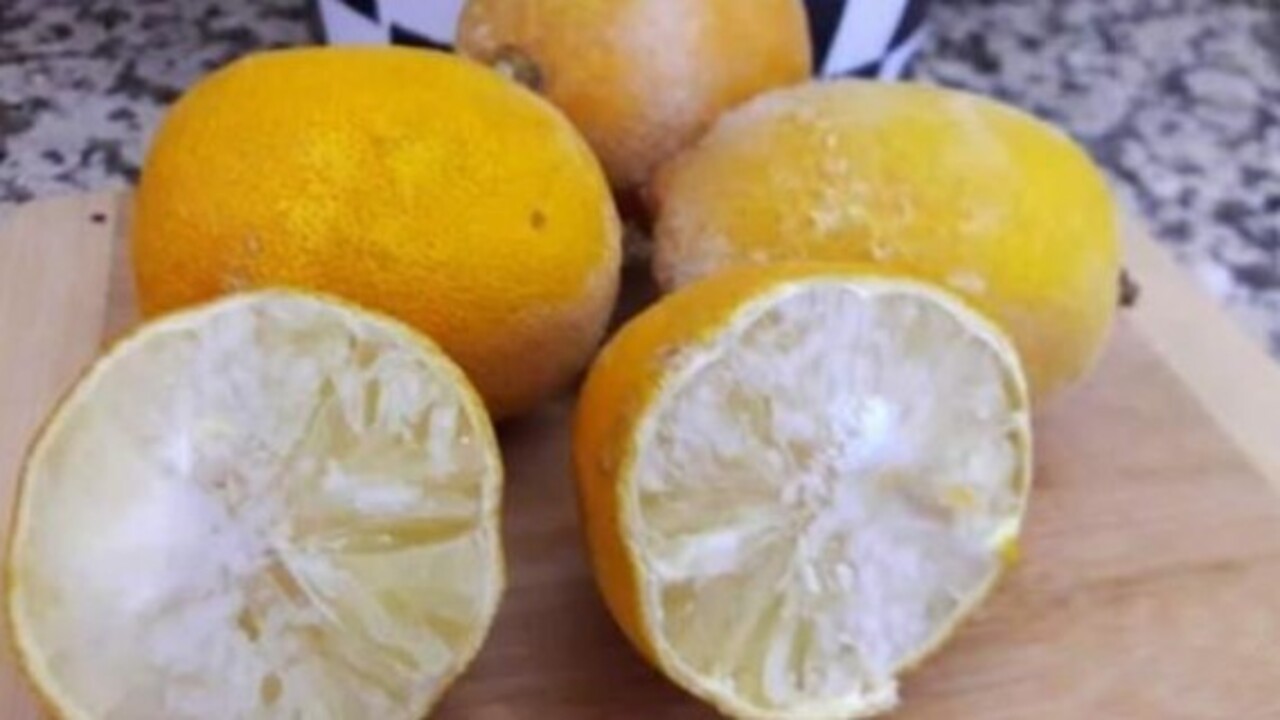 Foto - Bakın nelere iyi geliyor! Donmuş limonun inanılmaz şifası