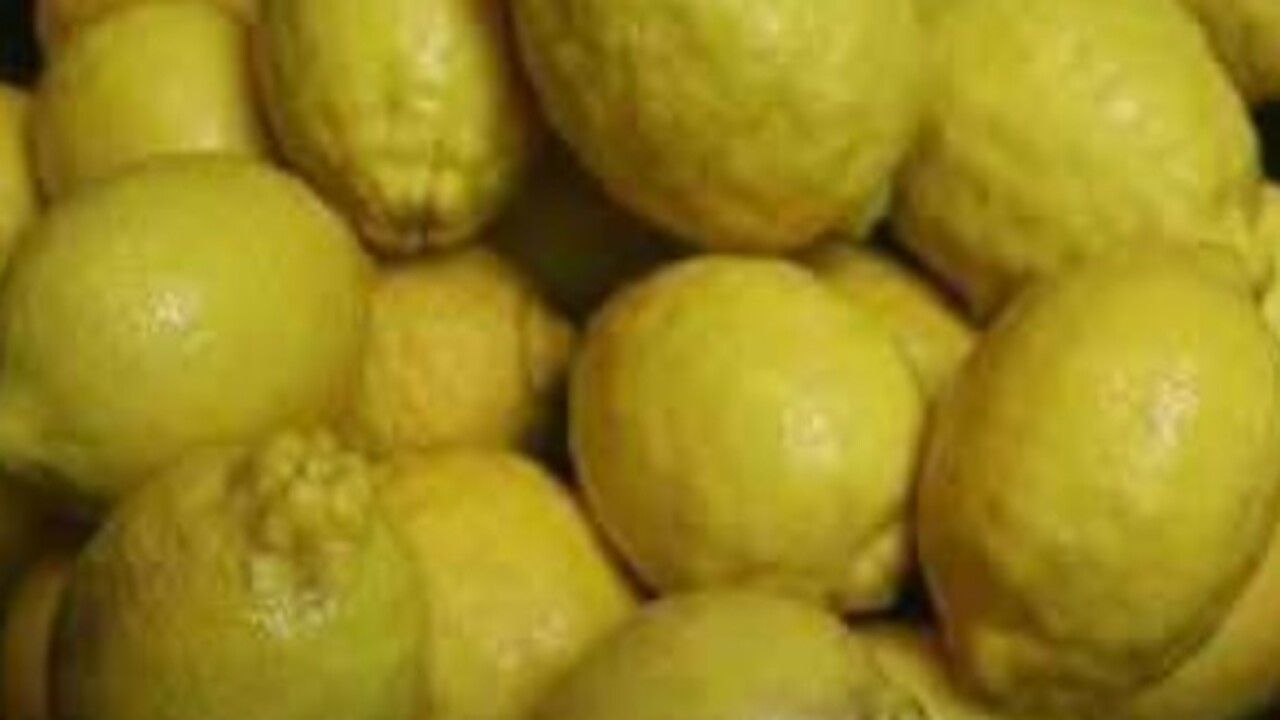 Foto - Bakın nelere iyi geliyor! Donmuş limonun inanılmaz şifası