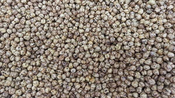 Foto - Bakın nelere mal oldu! 4 liralık leblebi deyip geçmeyin