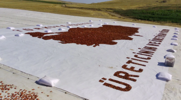 Foto - Bakın neyden yapıldı! İşte o müthiş Türkiye haritası