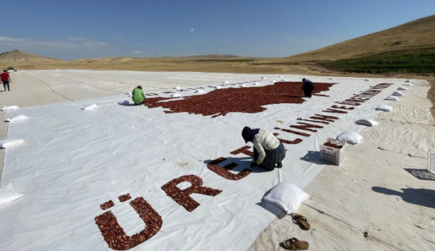 Foto - Bakın neyden yapıldı! İşte o müthiş Türkiye haritası