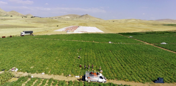 Foto - Bakın neyden yapıldı! İşte o müthiş Türkiye haritası