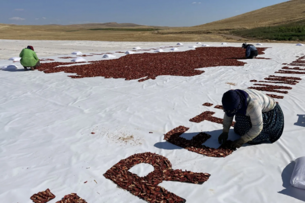 Bakın neyden yapıldı! İşte o müthiş Türkiye haritası