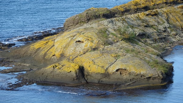 Foto - Bakın neye benziyor... Bu adayı görünce çok şaşıracaksınız
