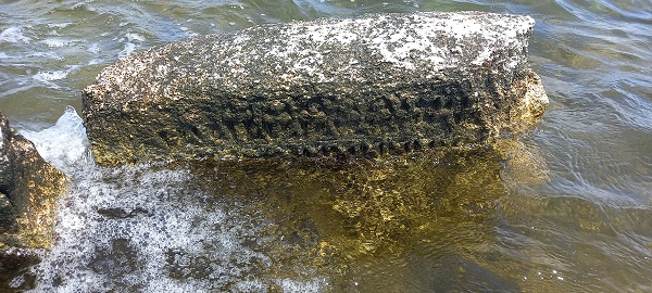 Foto - Bakın orada ne varmış! Van Gölü'nün suyu çekildi yüzyıllar sonra ortaya çıktı