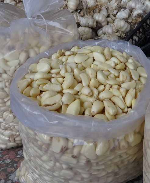 Foto - Bakın sarımsak ve ısırgan otundan ne geliştirildi