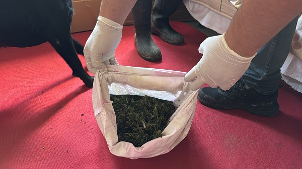 Foto - Bakın uyuşturucuları nerelerde saklamışlar