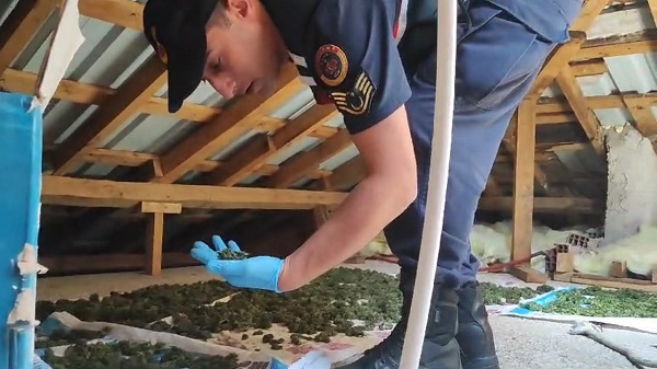 Bakın uyuşturucuları nerelerde saklamışlar