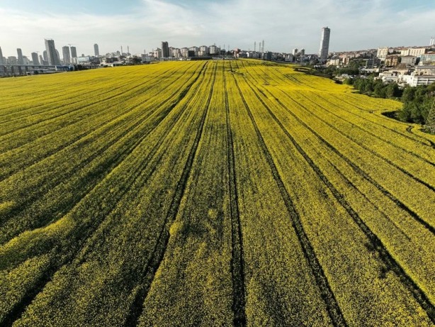Foto - Bakınca hemen dikkat çekiyor! İstanbul'da alışık olunmayan görüntüler