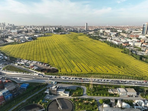 Foto - Bakınca hemen dikkat çekiyor! İstanbul'da alışık olunmayan görüntüler