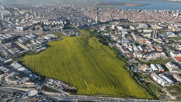 Foto - Bakınca hemen dikkat çekiyor! İstanbul'da alışık olunmayan görüntüler