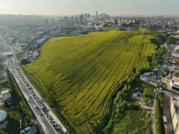 Foto - Bakınca hemen dikkat çekiyor! İstanbul'da alışık olunmayan görüntüler