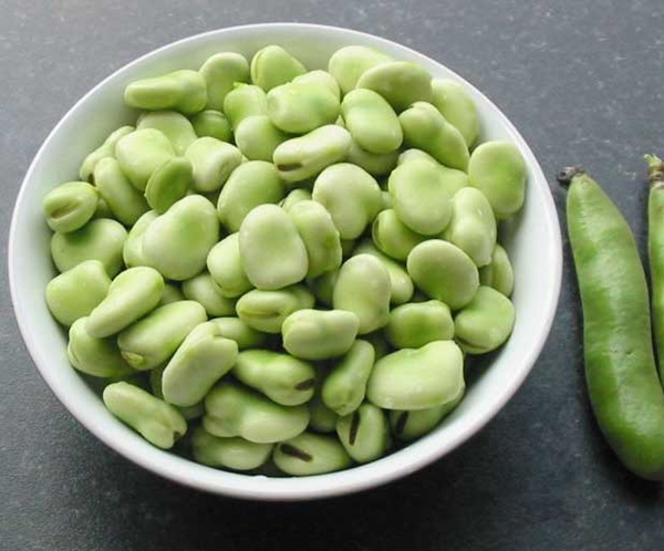 Foto - Bakla böbrek taşlarını düşürüyor!