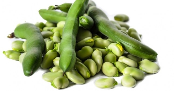 Foto - Bakla böbrek taşlarını düşürüyor!