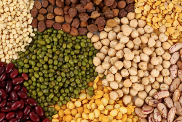 Foto - Bakliyat böceklenmesini önleyecek doğal çözümler! Meğer böceklenmesinin sebebi buymuş: Böcek, kurt yok oluyor