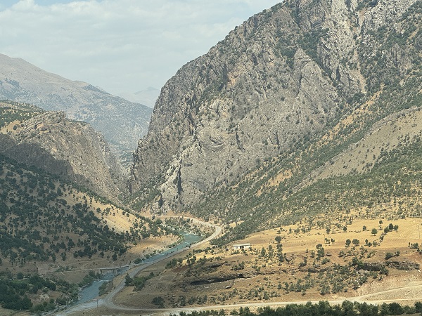 Foto - Bal bu aileden sorulur! 