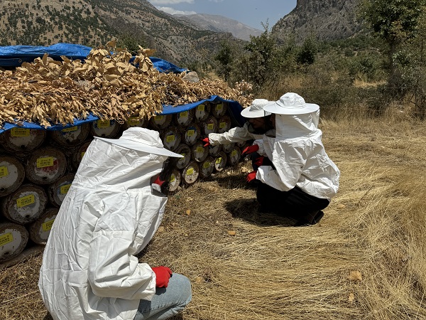 Foto - Bal bu aileden sorulur! 