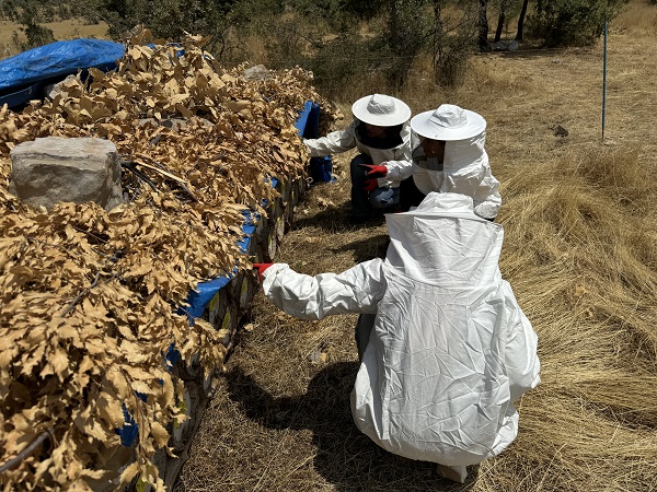 Foto - Bal bu aileden sorulur! 
