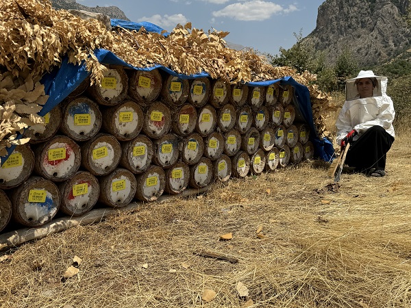 Foto - Bal bu aileden sorulur! 