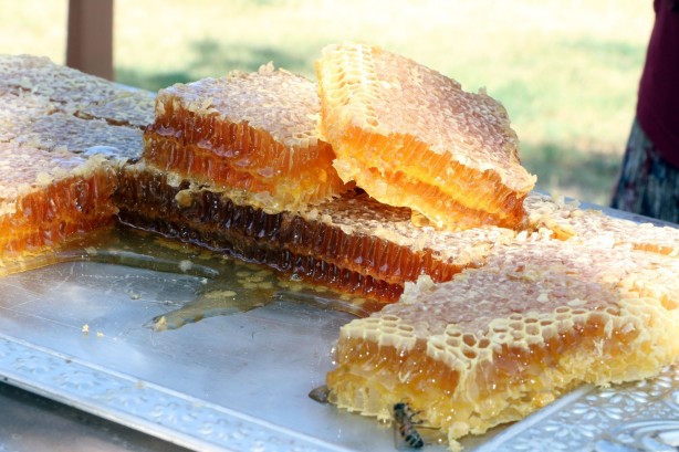 Foto - Bal hakkında doğru bilinen 10 yanlış