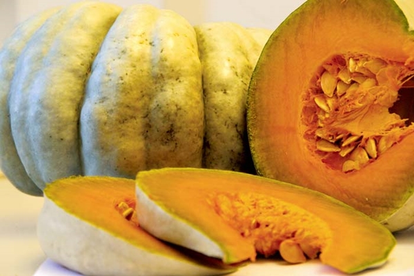 Foto - Bal kabağı kilo verdiriyor!