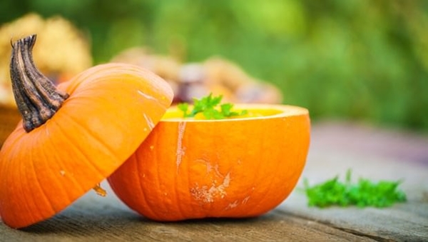 Foto - Bal kabağı kilo verdiriyor!