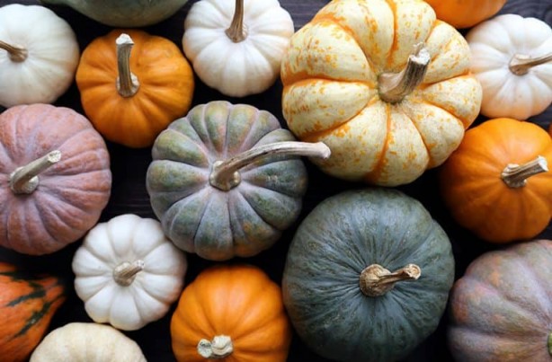 Foto - Bal kabağı tüketmek için 8 bilimsel neden
