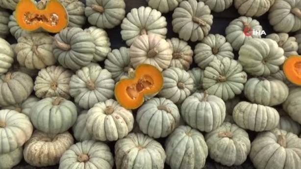 Foto - Bal kabağı tüketmek için 8 bilimsel neden