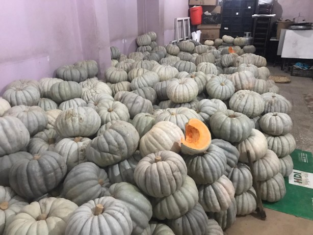 Foto - Bal kabağı tüketmek için 8 bilimsel neden