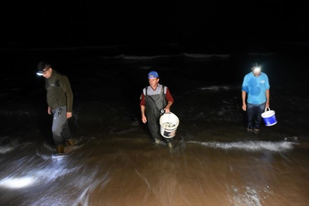 Foto - Balığa hücum! Tonlarcası ayaklarına geldi