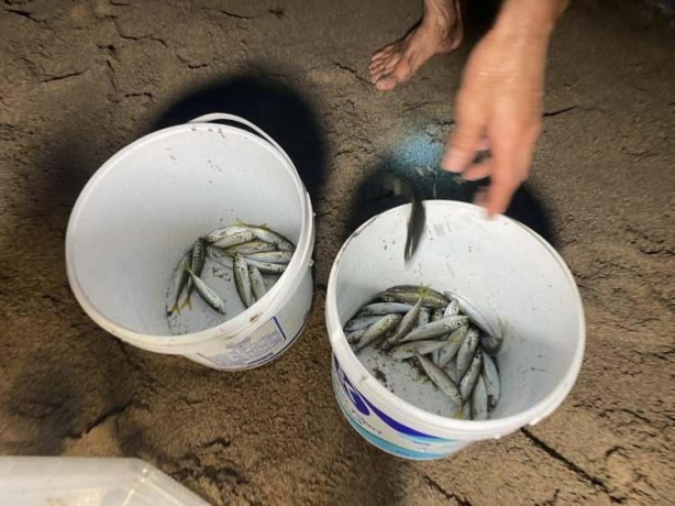 Foto - Balığa hücum! Tonlarcası ayaklarına geldi