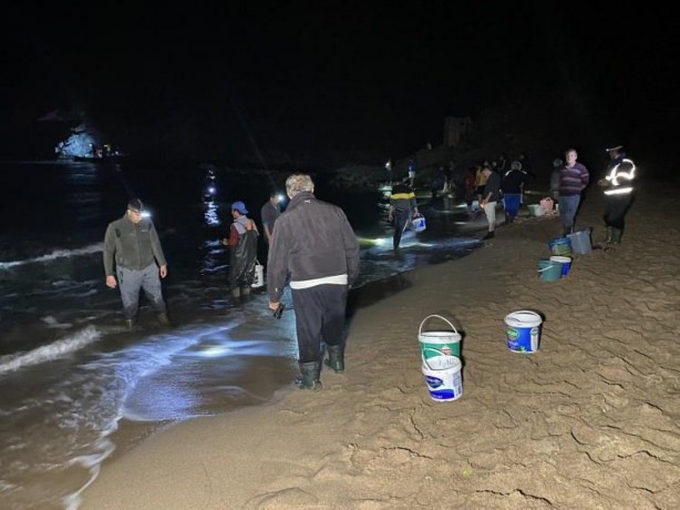 Foto - Balığa hücum! Tonlarcası ayaklarına geldi