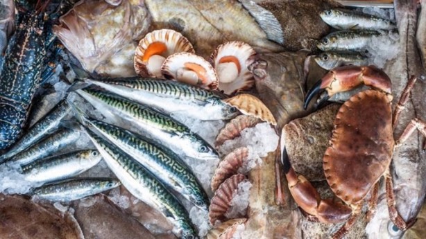 Foto - Balığın bayat olup olmadığı nasıl anlaşılır?