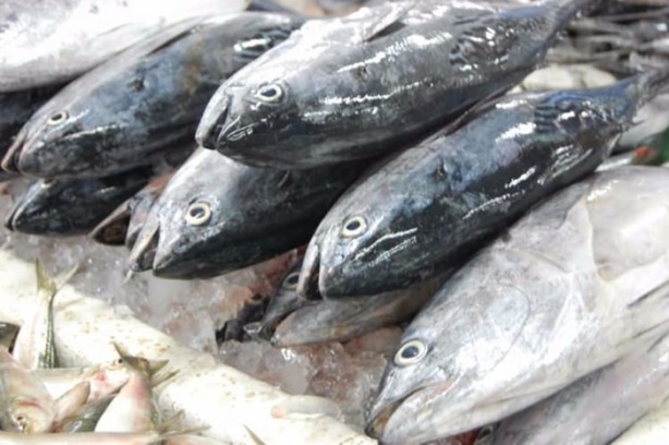 Foto - Balığın bayat olup olmadığı nasıl anlaşılır?