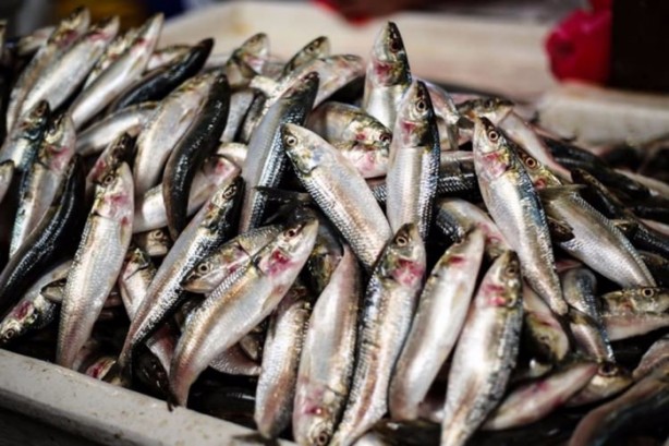 Foto - Balığın bayat olup olmadığı nasıl anlaşılır?