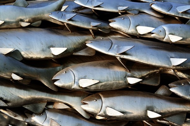 Foto - Balığın yanında helva yemenin inanılmaz faydası! Bakın neden yenirmiş