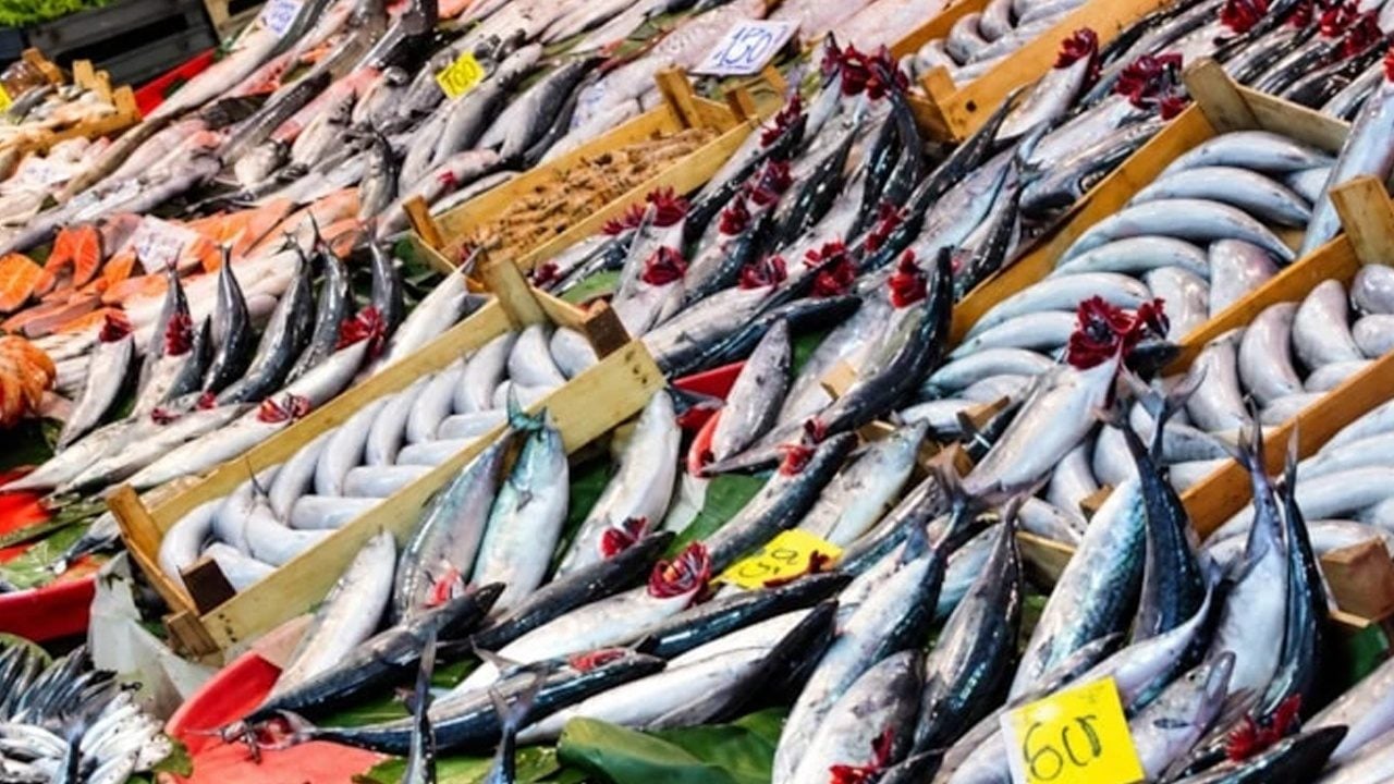 Foto - Balık bağışıklık sistemini güçlendirir: Omega-3 açısından zengin, bilen çok az... Kapış kapış satılıyor! 