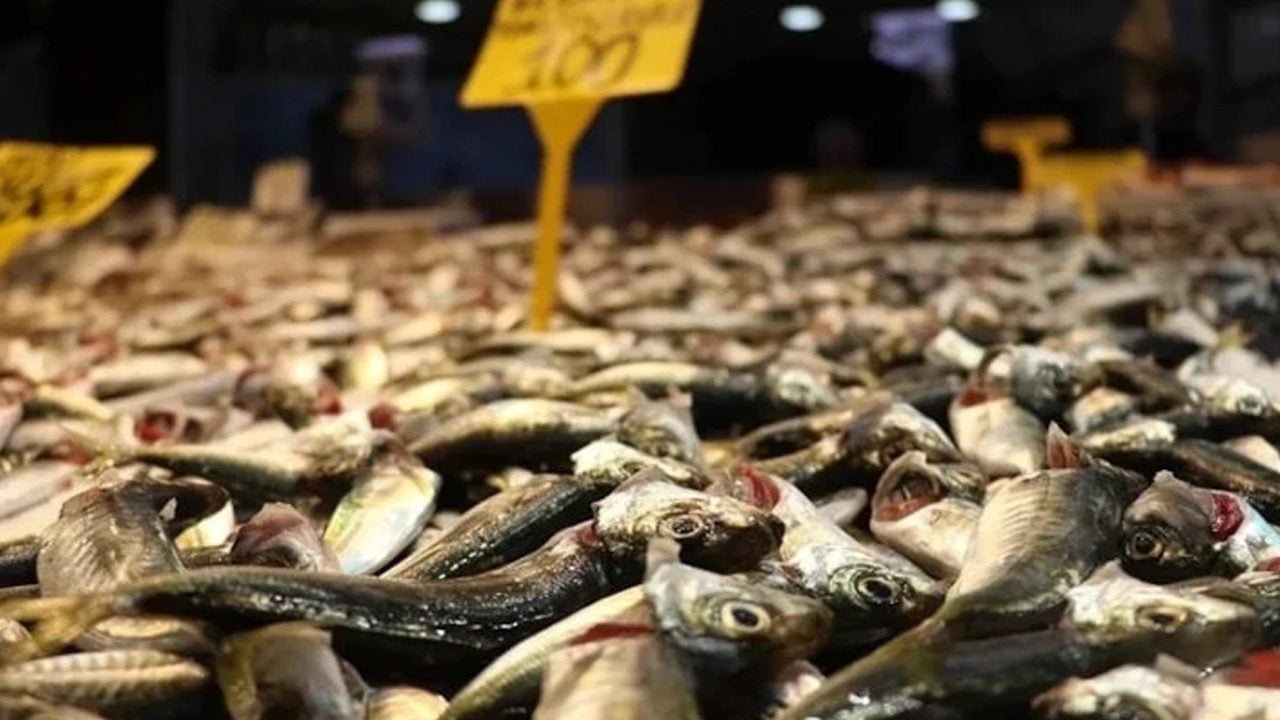 Foto - Balık bağışıklık sistemini güçlendirir: Omega-3 açısından zengin, bilen çok az... Kapış kapış satılıyor! 