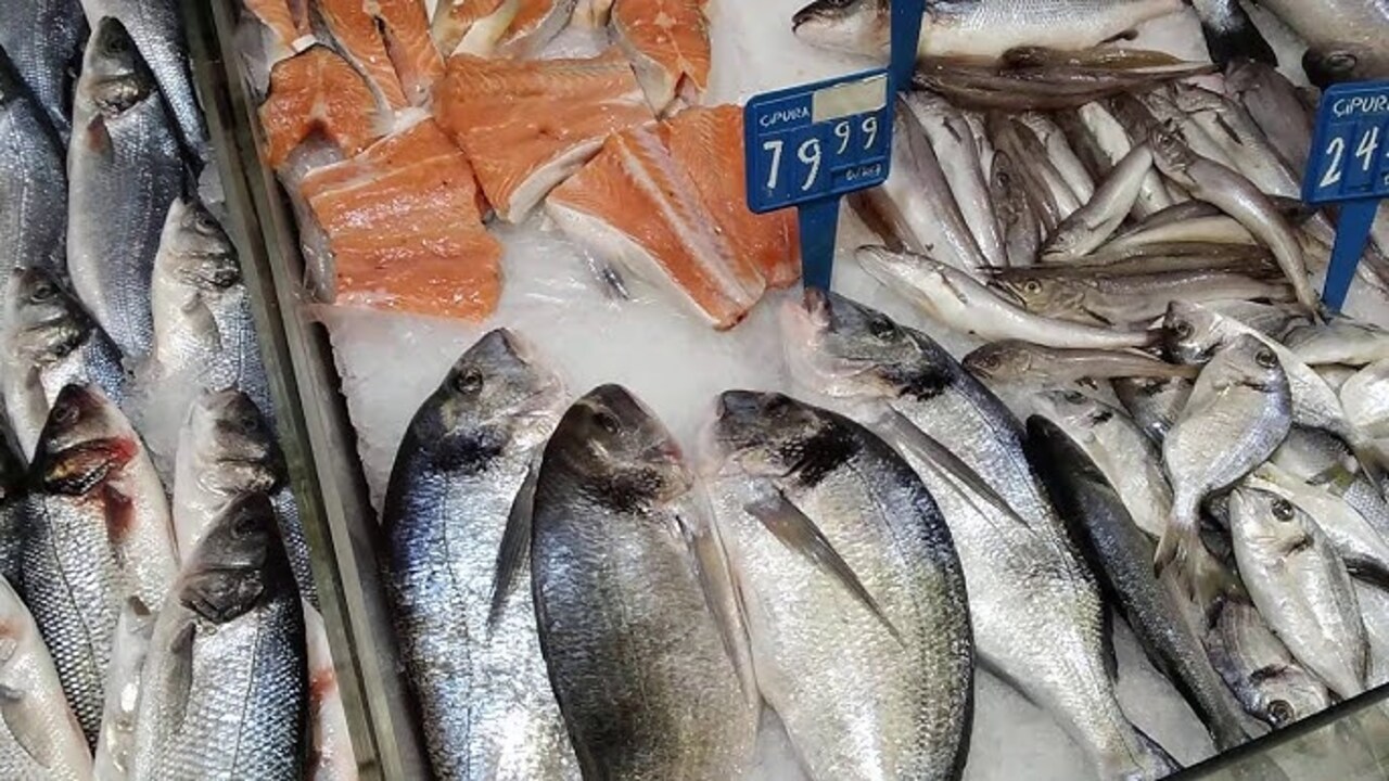 Foto - Balık bol, fiyatlar uçuk!