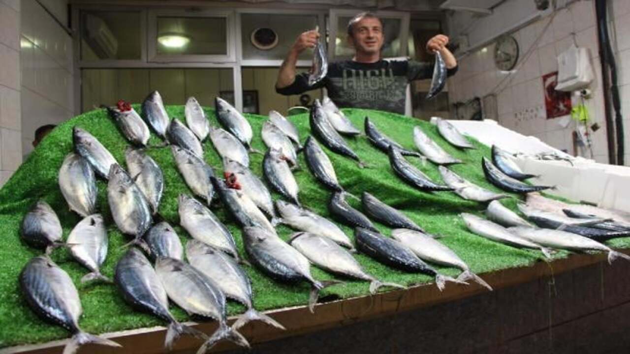 Balık bol, fiyatlar uçuk!