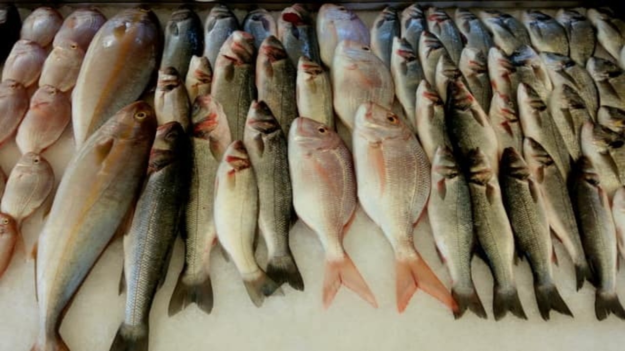 Foto - Balık bol, fiyatlar uçuk!