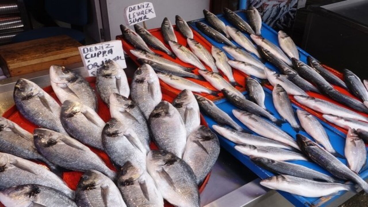 Foto - Balık bol, fiyatlar uçuk!