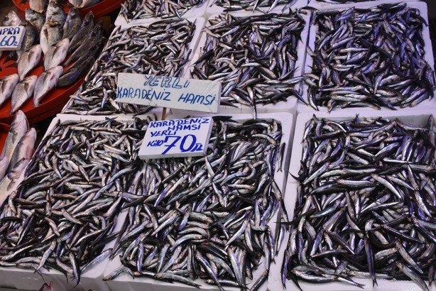 Foto - Balık fiyatları arttı! İşte güncel fiyatlar