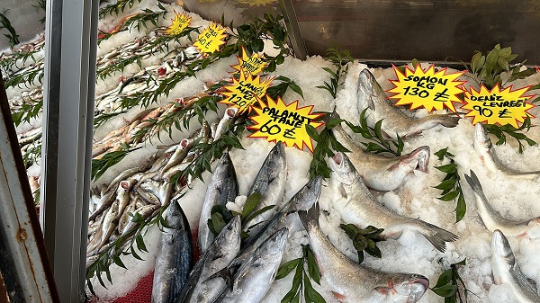 Foto - Balık fiyatları cep yakıyor! En ucuz balık tirsi oldu