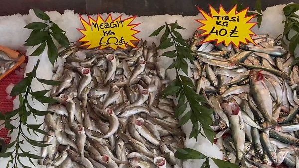 Balık fiyatları cep yakıyor! En ucuz balık tirsi oldu